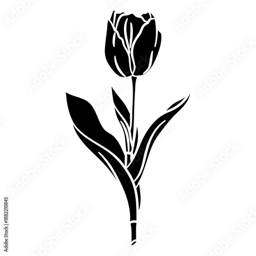 Obraz na plátně Tulip cut out