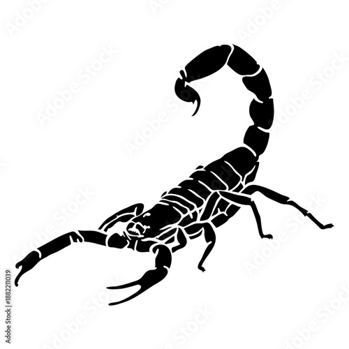 Scorpion cut out