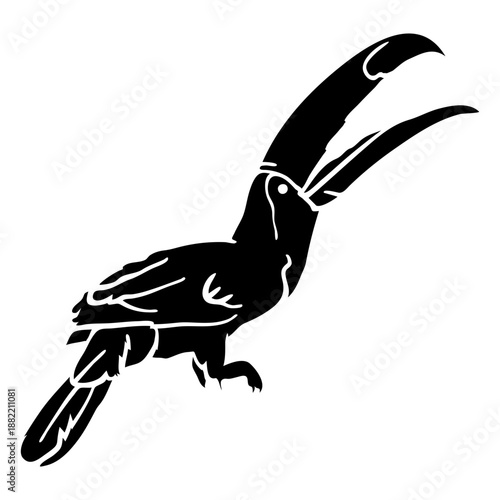 Toucan bird cut out