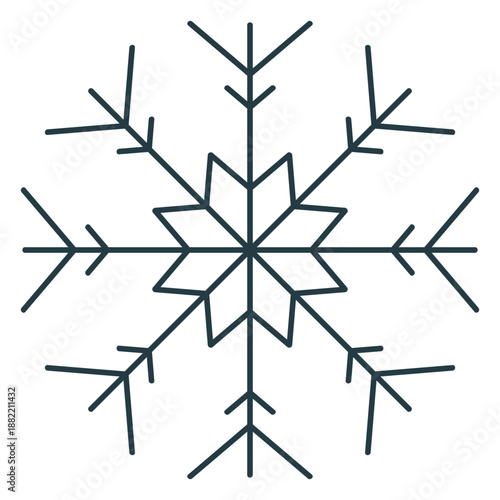 Snowflake winter cold icon