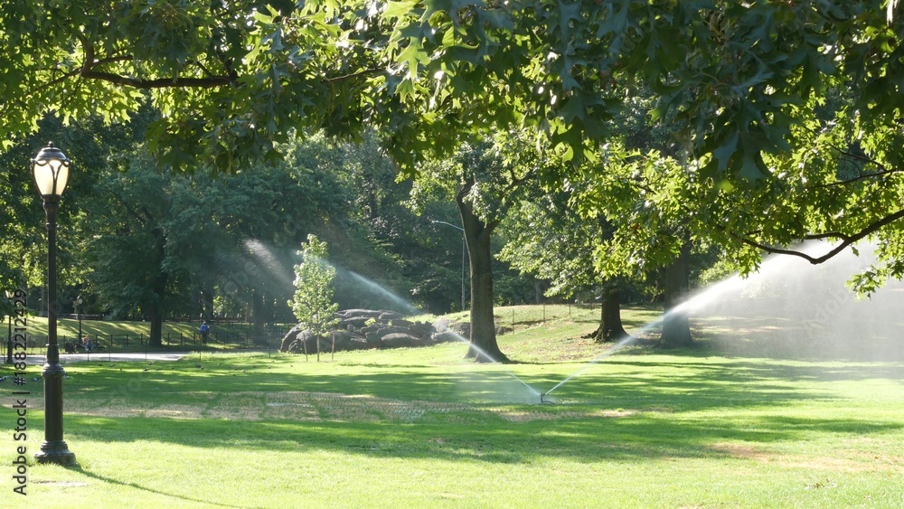 Obraz premium New York City Central Park nature oasis. Green lawn in summer day, United States. Grass greenery, meadow watering in morning light. Autumn fall leaves and street lantern or vintage lamp in NYC, USA.