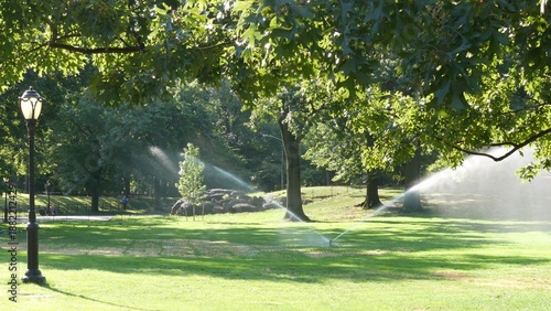 Wallpaper Mural New York City Central Park nature oasis. Green lawn in summer day, United States. Grass greenery, meadow watering in morning light. Autumn fall leaves and street lantern or vintage lamp in NYC, USA. Torontodigital.ca