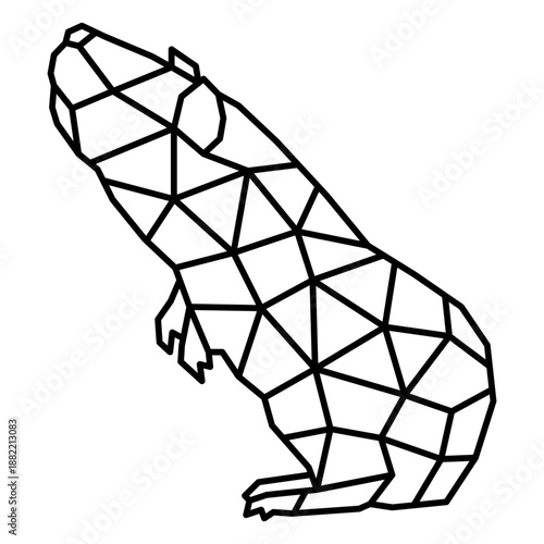 Polygonal stroke guinea pig