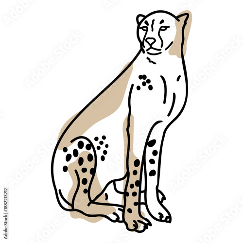 Color stroke sitting cheetah