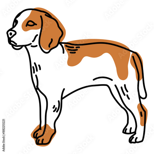 Color stroke dog semi colored