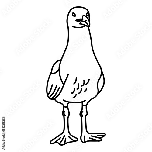 Simple stroke seagull frontal