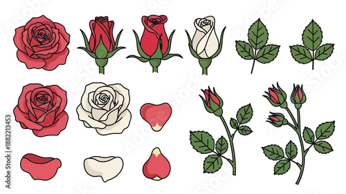 A collection of illustrated roses in various stages of bloom and individual petals