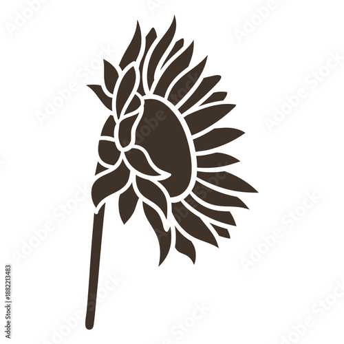 Hand drawn sunflower sideways silhouette