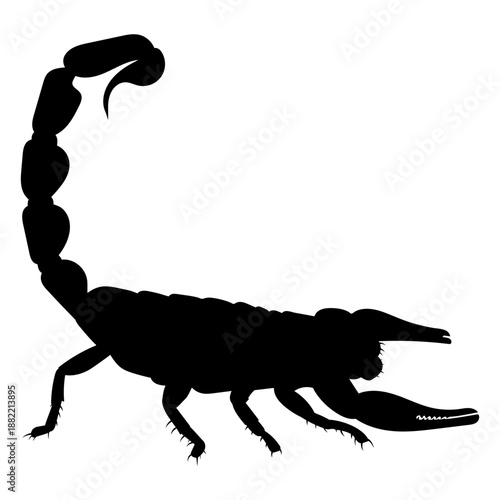 Poisonous scorpion silhouette