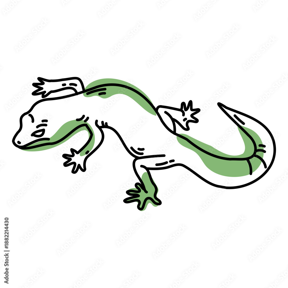 Fototapeta premium Color stroke semi colored lizard