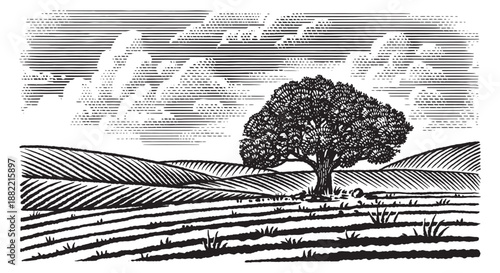 Beautiful rustic landscape with big old oak tree in the meadow. hills and fields for eco products, cheese, milk and other natural products. Hand drawn engraving in old pen and ink tequtique.