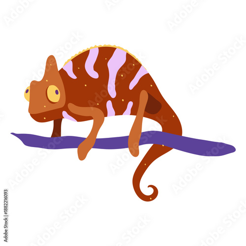 Brown chameleon animal