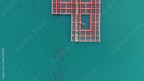 Workers are on a mussel farm platform in the sea. They are checking and managing the mussels along the structure in the sunlight. The water is bright blue below.