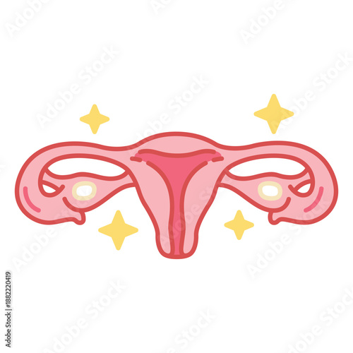 Uterus body organ color stroke