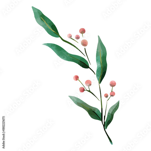 Plant watercolor nature delicate drawing