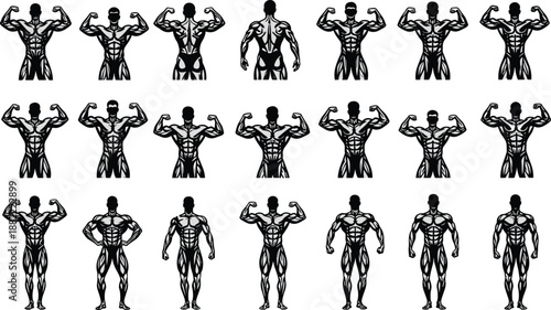 Muscular male bodybuilding silhouette collection showing front back flex poses with detailed anatomy illustration isolated on white background for fitness design use