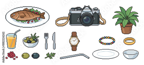 Collection of various pixel art objects including a retro camera, cooked fish, jewelry, and a potted plant in a charming 8-bit video game style illustration set