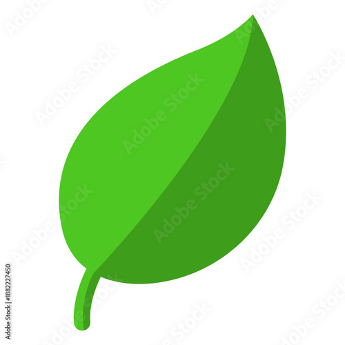 Leaf botanical icon