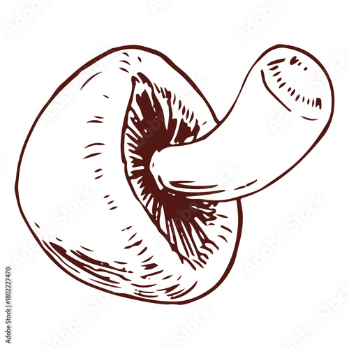 Chonky mushroom hand drawn