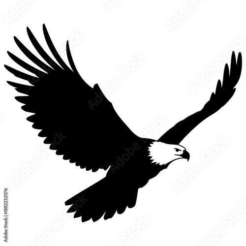 Bald eagle soaring silhouette majestic bird of prey flying in sky freedom symbol for national pride nature conservation and wildlife photography design on white background art