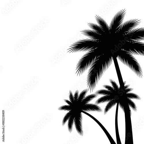 Black silhouette of three palm trees with feathery fronds against white