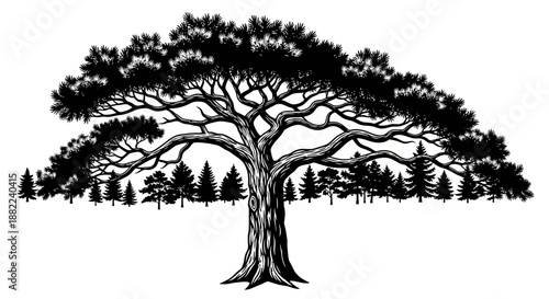 Detailed black and white illustration of a large mature tree and forest background