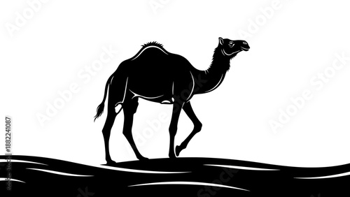 Black silhouette camel walking on sand dune landscape desert scene