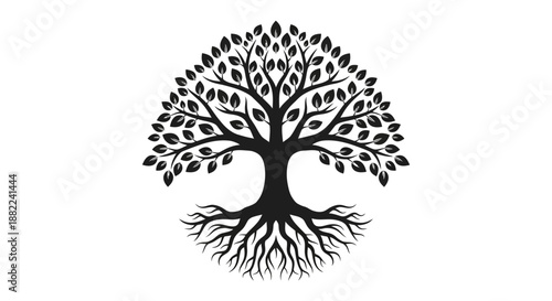 Stylized black and white tree illustration with roots and leaves isolated