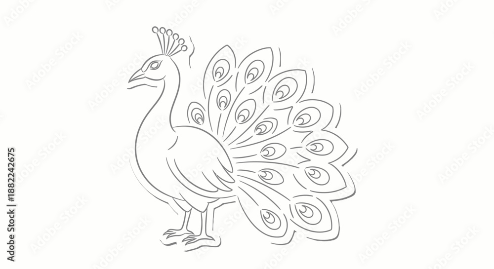 Fototapeta premium Elegant peacock illustration feathered bird in graceful pose against white