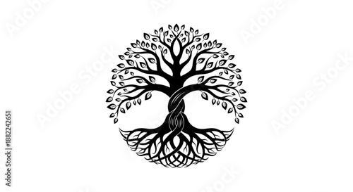 Stylized tree of life symbol with branches and roots on a white background