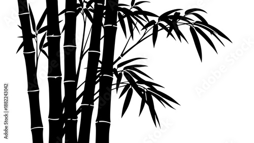 Black bamboo silhouette on white background for graphic design elements