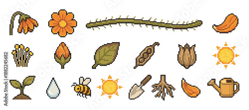 Set of pixel art gardening icons showing a plant life cycle with a flower, seed, sprout, bee, and sun in a retro 8-bit video game style illustration
