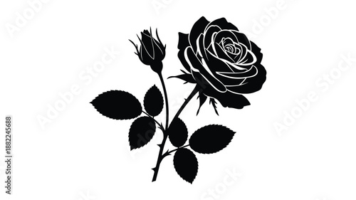 Elegant black and white silhouette of a blooming rose with a budding companion flower