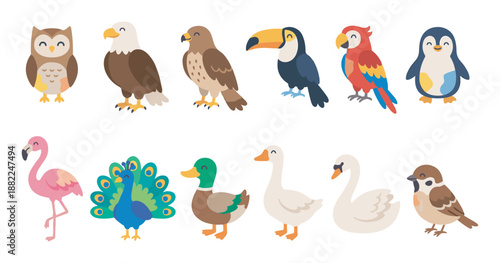 Collection of cute cartoon bird characters including an owl, eagle, toucan, parrot, penguin, flamingo, and peacock in a charming flat vector illustration style for kids