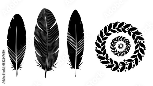 Black feathers and leaves illustration in a spiral arrangement showcasing artistic designs and natural elements