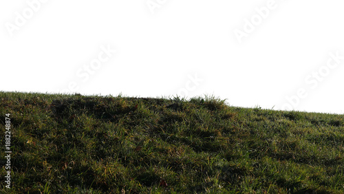 Photos Freigestellter Winterlicher Gras Hügel Hintergrund in dezentem Abendlicht
