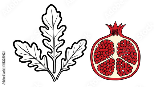Illustration of oak leaf and pomegranate fruit, symbolizing abundance and fertility in a simple yet vibrant digital artwork