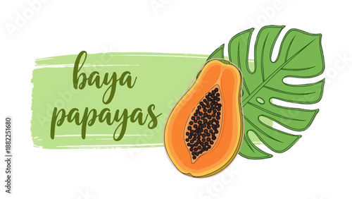 Vibrant Papaya Fruit and Monstera Leaf Illustration