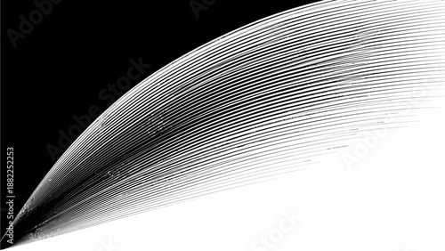 Wing feather close-up view with dramatic lighting effect and detailed texture illustration