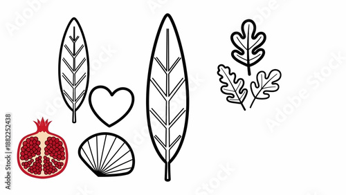 Illustration of assorted leaves, heart, and fruit arranged in a simple composition on a clean background from a straightforward viewpoint.