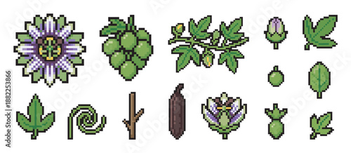 Pixel art passion fruit plant icon set featuring various botanical elements like the flower, vine, leaves, tendril, bud, and both ripe and unripe fruits in a retro 8-bit video game style