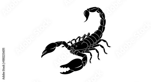 Black scorpion silhouette on white background vector illustration
