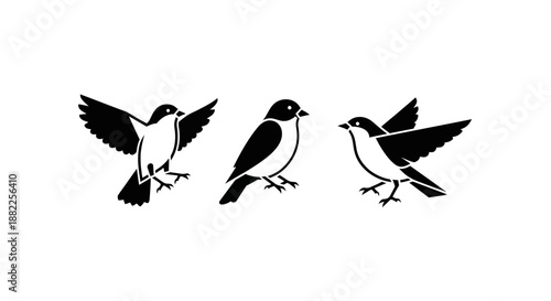 Black and white birds illustration set various poses and actions