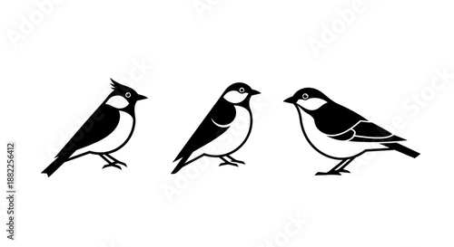 Three stylized bird illustrations in black and white against a clean background
