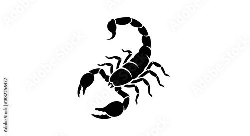 Black scorpion silhouette on white background vector illustration