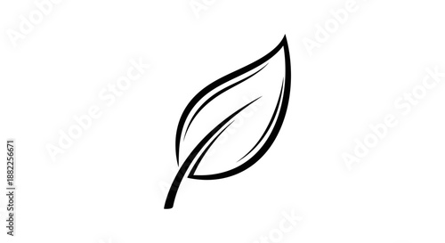 Minimalist leaf illustration on white background for design elements