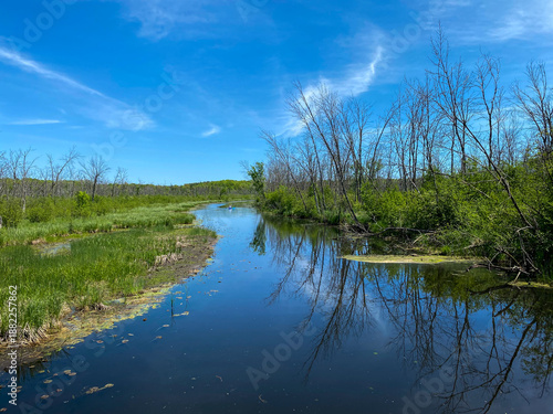 Kayakers on Milwaukee River in Kettle Moraine State Forest in Wisconsin. Tamarack Circle, Ice Age National Scenic Trail, and Lake to Lake Bike Trail. Mauthe Lake Refuge. 