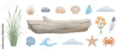 Collection of illustrated beach and coastal elements including driftwood, seashells, a crab, and a starfish in a flat cartoon style for nature-themed design projects