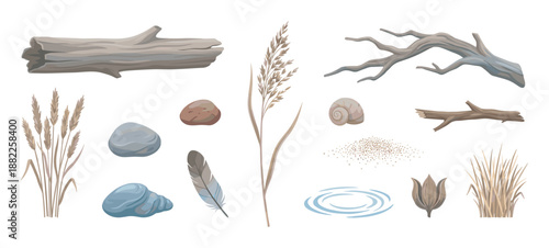 Collection of natural riverside elements including driftwood, reeds, stones, shells, and a feather in a calm, earthy vector illustration style for decorative design
