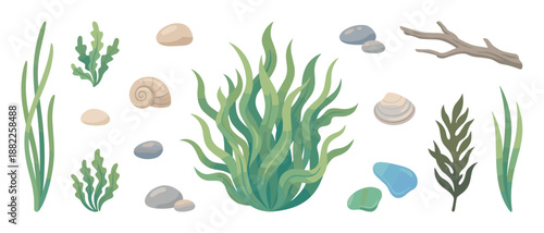 Illustrated set of green seaweed, algae, seashells, smooth stones, and a driftwood branch for creating an aquatic or marine themed design composition